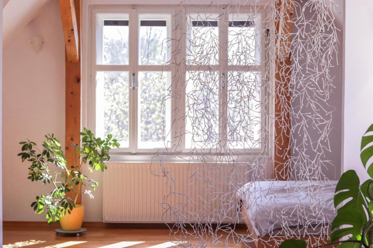 Apartment In The Heart Of Bled With Views מראה חיצוני תמונה